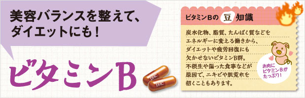 DHC Vitamin B mix DHC วิตามิน B