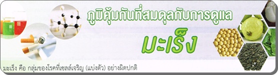 บิมร้อยมะเร็ง,สูตรมะเร็ง