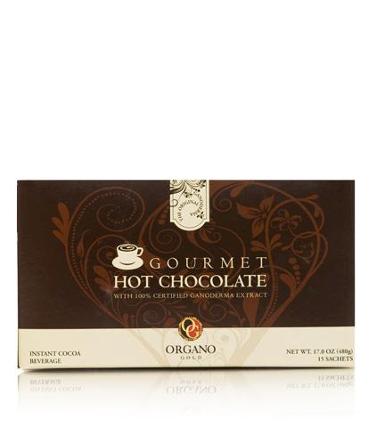 Gourmet Hot Chocolate