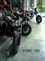 pony 100
