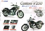 CUSTOM  V-250