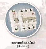 โหลดเช็นเตอร์ SAFE T CUT เมนต์ 2P 60A ตู้6ช่อง ลูกเบเกอร์ 6 อัน