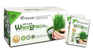 เครื่องดื่มต้นข้าวสาลีอ่อน Wheatgrass