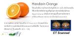 Orange 61