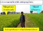 ปุ๋ยเขาเพชร