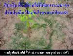 ปุ๋ยเขาเพชร