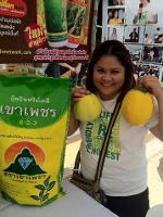ปุ๋ยเขาเพชร
