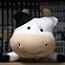  userfiles/profile-picture/61059b60-644f-40fb-9c8e-b13c15a6b69c/Moo.jpg