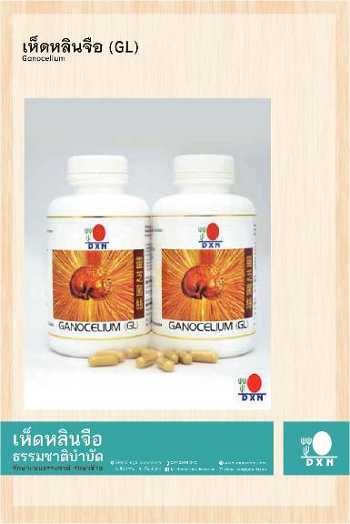 เห็ดหลินจือ จีแอล (GL)