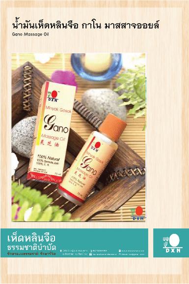 น้ำมันเห็ดหลินจือ กาโน มาสสาจออยล์