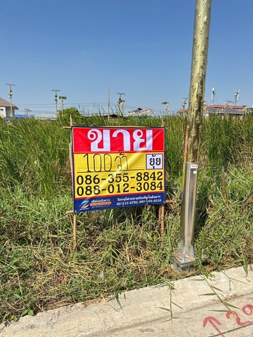 ขายที่ดิน 100 ตารางวา ซอยราชา18 ลาดกระบัง14/1 