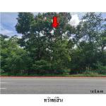 ขายที่ดินว่างเปล่า ต.ดอนชมพู อำเภอ โนนสูง จังหวัด นครราชสีมา