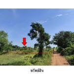 ขายที่ดินว่างเปล่า ต.โคกสูง อ.เมืองชัยภูมิ จังหวัด ชัยภูมิ