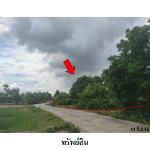 ขายที่ดินว่างเปล่า ต.ดอนชมพู อำเภอ โนนสูง จังหวัด นครราชสีมา