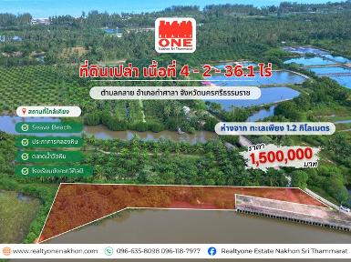 ที่ดินเปล่าแปลงใหญ่ ใกล้ทะเล อ.ท่าศาลา 