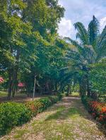 ขายที่ดินทำเลทอง โอนฟรีราคา ต่อรองได้ เจ้าของขายเอง  พิษณุโลก