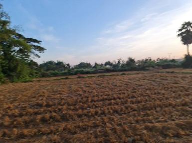 รวมบ้านที่ดินดีงามเพื่อคุณ ขายที่ติดน้ำโขง ต.กุดบง โพนพิสัย หนอง