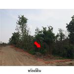 ขายที่ดินว่างเปล่า ถ.สายบ้านโป่งคองเหนือ-บ้านเขว้า จ.ชัยภูมิ 