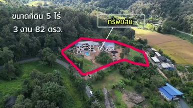 ขายที่ดินวิวทะเลหมอกทุกวัน เกือบ 6 ไร่ พร้อมอาคาร 2 หลัง 