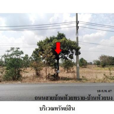 ขายที่ดินว่างเปล่า ต.กฤษณา อ.สีคิ้ว จ.นครราชสีมา