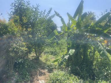 ขายด่วนที่ดินเปล่า เนื้อที่ 3 ไร่ 2 งาน 92.4 ตร.ว 5.6 ลบ.