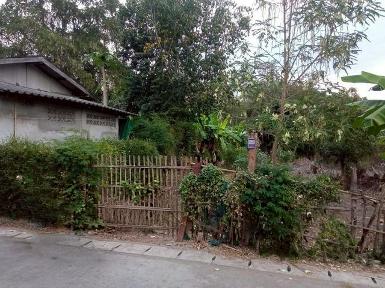 ขายที่ดินทำเลดี เพียง 1.2 ล้าน 113 ตรว. หางดง เชียงใหม่