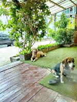 MRTแจ้งวัฒนะ14 140ม. อาคาร 3ชั้น 2ค กรึ่มๆขึ้นรถไฟฟ้าอย่างปลอดภัย