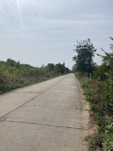 ขายที่ดินเปล่า 1งาน 48 ตร.วา หลังรพ.โนนแดง 