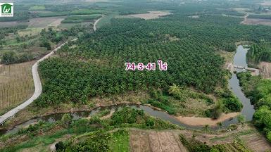 ขายที่ดินติดน้ำพร้อมสวนปาล์ม บ่อทอง ชลบุรี 74ไร่ ไร่ละ 790,000 