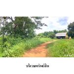 ขายบ้านเดี่ยว ต.กะฮาด อำเภอ เนินสง่า จังหวัด ชัยภูมิ