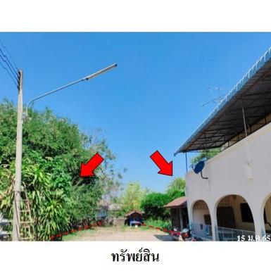 ขายที่ดินว่างเปล่า โครงการ ชัยพฤกษ์ อ.ภูเขียว จ.ชัยภูมิ