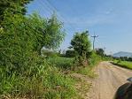 รวมที่ดินดีงามเพื่อคุณ ขายที่ปากช่อง 2-8ไร่ โฉนด ต.วังไทร ไร่ละ 2