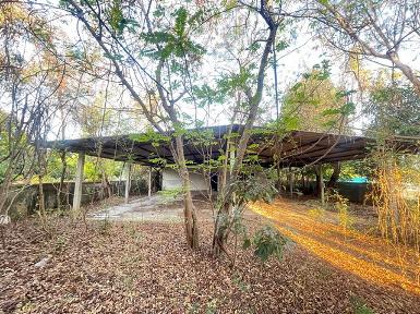 ขายที่ดินพร้อมสิ่งปลูกสร้าง หรือทำบ้านขายได้หน้ากว้าง 50 เมตร