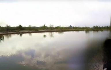 ขายที่บ่อปลา ติดคลอง 8 ไร่ ต.หนองตีนนก อ.บ้านโพธิ์ จ.ฉะเชิงเทร