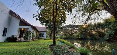 โซนแม่ริม บ้านเดี่ยวหรูให้เช่า 100,000 บาท พื้นที่กว้างบรรยากาศรี