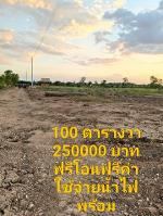 เพียง2.5แสน฿100ตรว.ที่ดินทำสวนเกษตรใกล้กรุงฯ คลอง11 หนองเสือ ปทุม