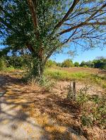 ขายที่ดินสวย วิวธรรมชาติ เนื้อที่ 2 งาน 26 ตารางวา จังหวัดอุดรธาน