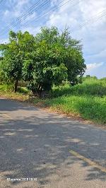 ขายที่ถมแล้วบางส่วน  2 ไร่ ติดถนนสองด้าน  อ.บ้านโพธิ์ จ.ฉะเชิงเทร