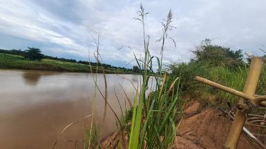 รวมที่ดินดีงามเพื่อคุณ ขายที่ติดแม่น้ำน่าน ต.โคกหม้อ ชุมแสง.นครส