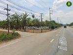 ขายที่ดินสวนปาล์มติดถนนเพชรเกษม อำเภอเหนือคลอง จังหวัดกระบี่