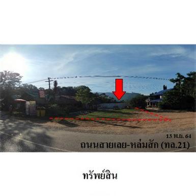 ขายที่ดินว่างปล่า ต.หนองบัว อ.ภูเรือ จ.เลย