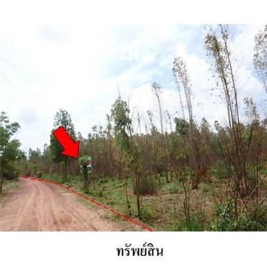 ขายที่ดินว่างเปล่า ตำบลนาฝาย อำเภอ เมืองชัยภูมิ จังหวัด ชัยภูมิ