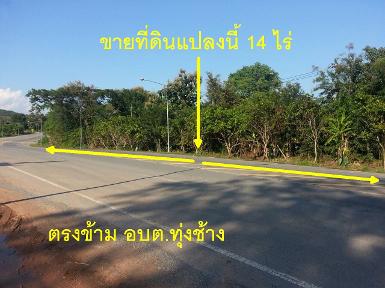  ขายที่ดินเปล่า 14 ไร่ ตำบลทุ่งช้าง จ.น่าน
