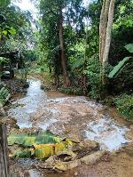 ขายที่ดินพร้อมบ้านไม้ ท่ามกลางธรรมชาติ 