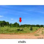 ขายที่ดินว่างเปล่า ต.โคกสูง อ.เมืองชัยภูมิ จังหวัด ชัยภูมิ