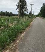 ขายที่ดิน5ไร่ 2.5ล. ถ.2เลน วังธารทอง ต.ดอยหล่อ ดอยหล่อ เชียงใหม่