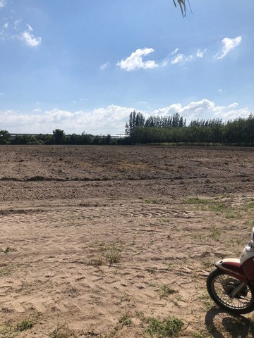 ขายที่ดินแปลงงาม ราคาถูก เขตบ้านบึง ชลบุรี ติดถนนสาธารณะ