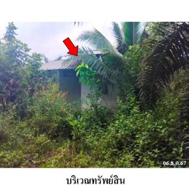 ขายบ้านเดี่ยว ต.ทุ่งกง อำเภอกาญจนดิษฐ์ จังหวัดสุราษฎร์ธานี