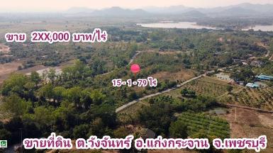 ที่ดินแก่งกระจานเพชรบุรี ราคาถูก 15 ไร่ ติดถนน3ด้านไฟฟ้าประปาครบ