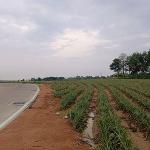 ขายที่ดินแปลงสวย ใกล้นิคมโรจนะบ่อวิน2 เขาคันทรง ศรีราชา ชลบุรี